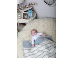 Zaffiro Grijs & Lichtroze Gestreept 75 X 100 Cm Wiegdeken 15120 -Babyproducten Winkel 23442 7406ec36001291ca5060b2ad 4