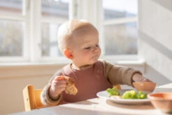 Bibs Overall Woodchuck Slab 4000247 -Babyproducten Winkel Bibs Overall Woodchuck Slab 4000247 3