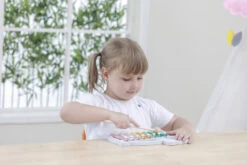 PolarB Houten Xylofoon 44026 -Babyproducten Winkel PolarB Houten Xylofoon 44026 5