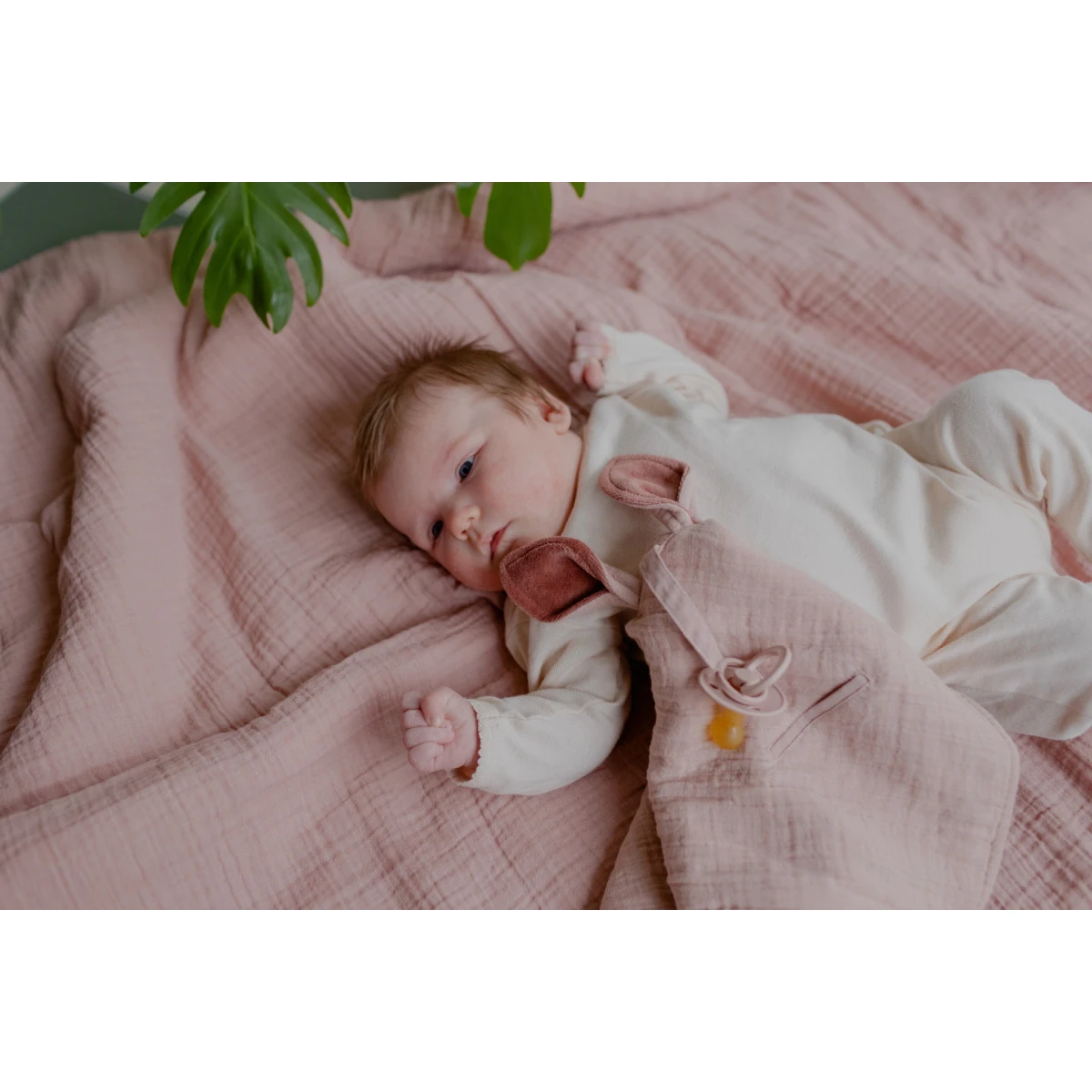 Bibs Kangaroo Blush Knuffeldoekje 9405244 2 Bibs Kangaroo Blush Knuffeldoekje 9405244 - Afbeelding 2