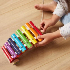 Bieco Pull Along Xylofoon 23022549 -Babyproducten Winkel bieco pull along xylofoon 23022549 5
