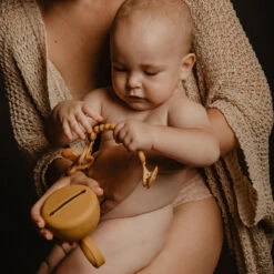 Suavinex Essence Mustard Silicone Speenhouder SXSEZ00081412 -Babyproducten Winkel colour essence soother case mango 3 3