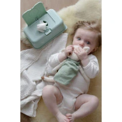 FunkyBox Mint Leave FB60 10 FunkyBox Mint Leave FB60 -Babyproducten Winkel funkybox mint leave fb60 .sfeer3