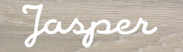 2-Deurskast Jasper 41518 4 2-Deurskast Jasper 41518 - Afbeelding 4