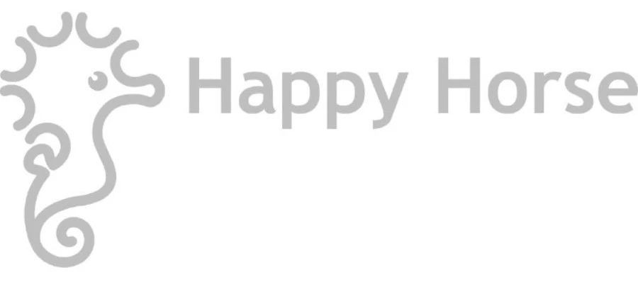 Happy Horse Big Dino Don 65 Cm Knuffel 132862 3 Happy Horse Big Dino Don 65 Cm Knuffel 132862 - Afbeelding 3