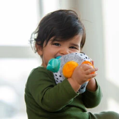 Sassy Bumpy Badger Educatieve Speelbal S80931 -Babyproducten Winkel sassy bumpy badger educatieve speelbal 1