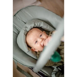 Tryco Lion Leo Groen Wipstoel TR-272703 21 Tryco Lion Leo Groen Wipstoel TR-272703 -Babyproducten Winkel tryco lion leo groen wipstoel tr 272703 sfeer4